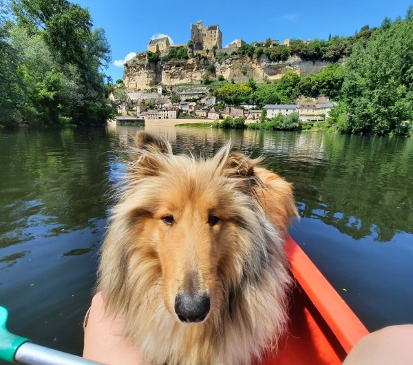 Campeggio Lou Castel - cane accettato