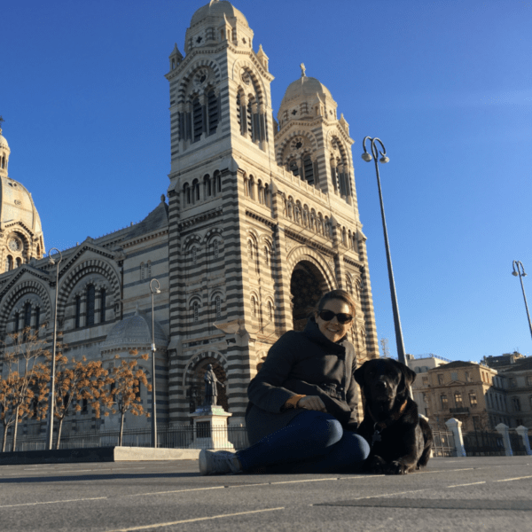 chien qui pose devant la Cathédrale Sainte-Marie-Majeure de Marseille