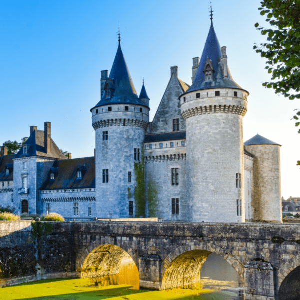 la plupart des châteaux de la loire sont dog-friendly donc vous pouvez les visiter avec votre chien