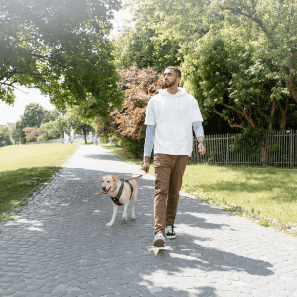 la visite des jardins des villes avec un chien est souvent très appréciée