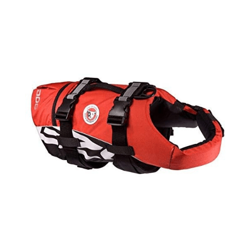 top 5 comparatif gilets de sauvetage modèle haute visibilité EzyDog