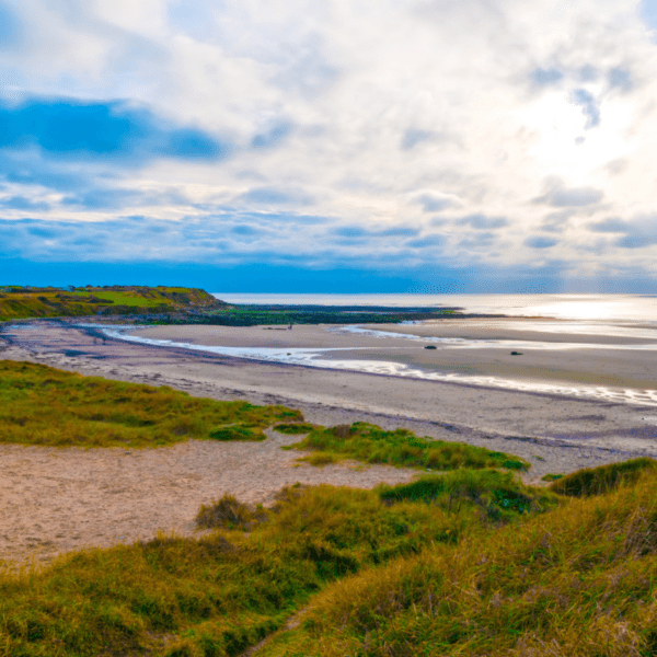 la Côte d'Opale face à la mer avec des plages autorisées aux chiens