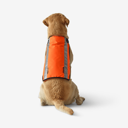 dossard fluo orange ou jaune pour chien Decathlon