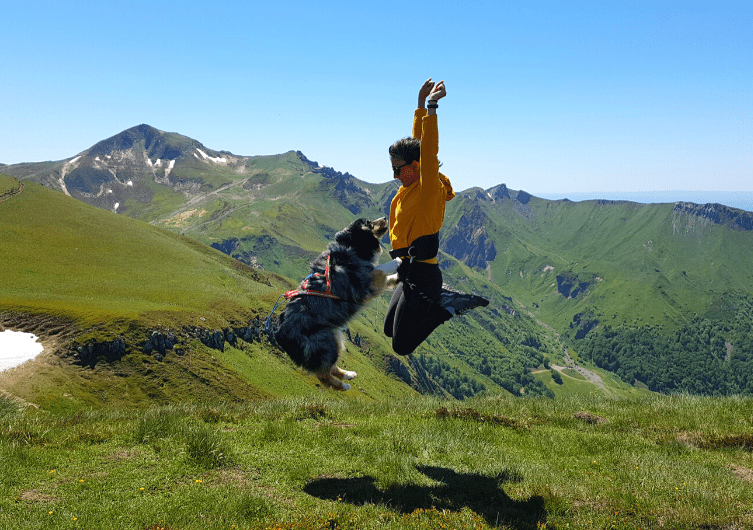 Discover Auvergne with your dog