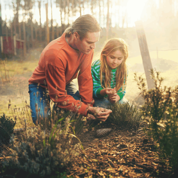 Domaine Les Landes de Gascogne - Center Parcs - familles et chiens en vacances
