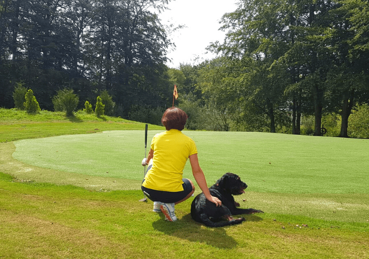 Golfe com seu cão