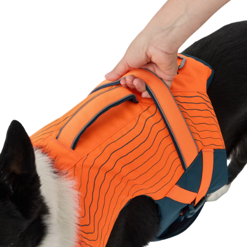 Le gilet flottant pour chien Decathlon a deux poignées sur le dos