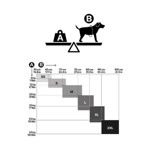 Guide pour choisir la taille du gilet de flottaison Decathlon pour son chien
