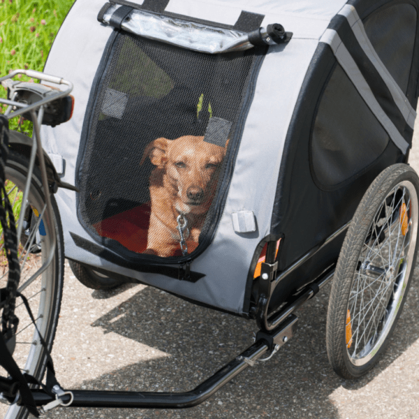 Remorque-vélo pour profiter de la Vélomaritime avec un chien