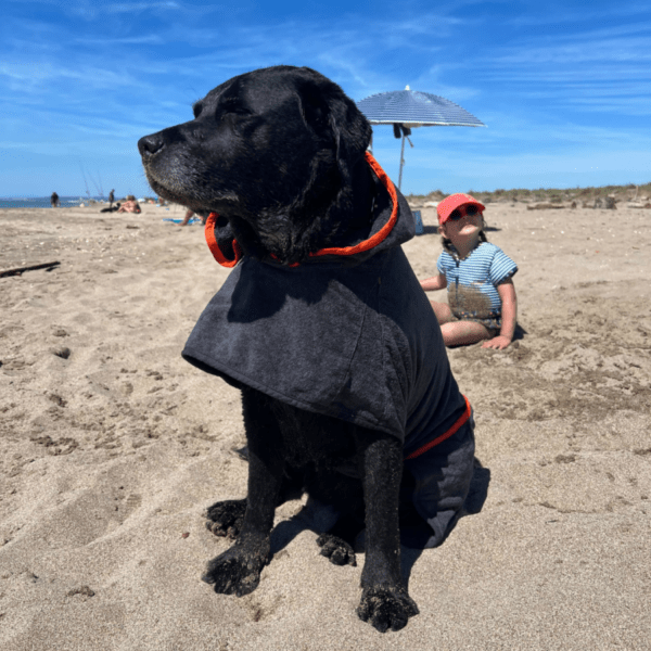 après l'après-midi à la plage le peignoir pour chien de decathlon est parfait pour le sécher avant de remonter dans la voiture