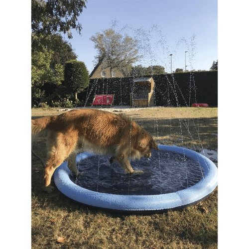 chien s'amuse dans piscine à jets d'eau Wouapy Splash