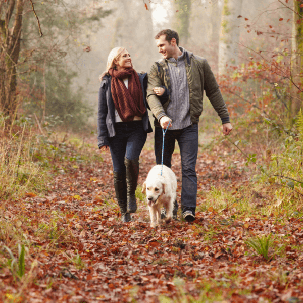 un couple se balade avec un chien dans la forêt en automne