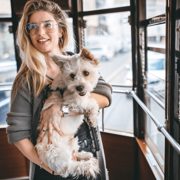 visiter la ville dans un tramway vintage est intéressant avec un chien