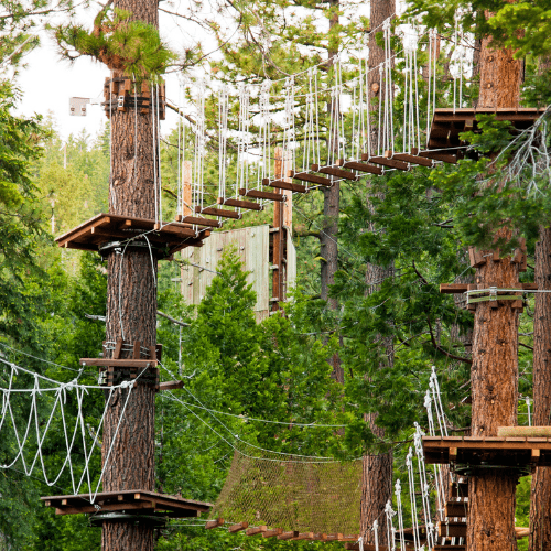 accrobranche du domaine center parcs pendant les vacances de la toussaint