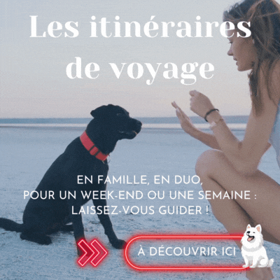 les itinéraires de voyage sur-mesure pour ton chien et toi