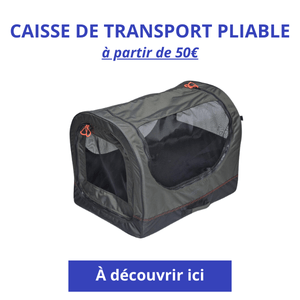 cette caisse de transport pour chien de chez Decathlon est pliable et légère