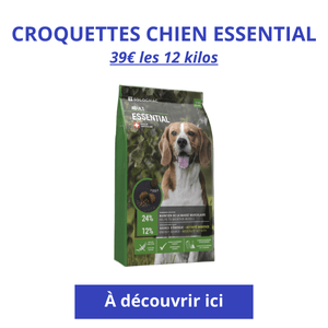 paquet de croquettes Decathlon pour les chiens sportifs