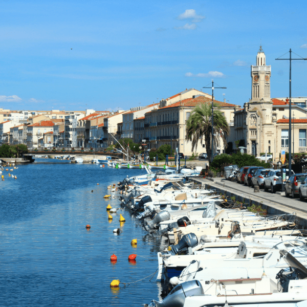 plages autorisées aux chiens dans l'Hérault, hébergements dog friendly dans l'Hérault