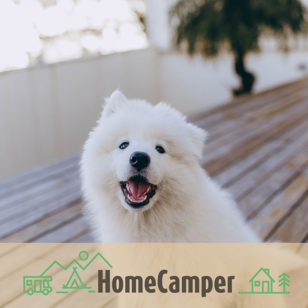 homecamper - camping animaux admis