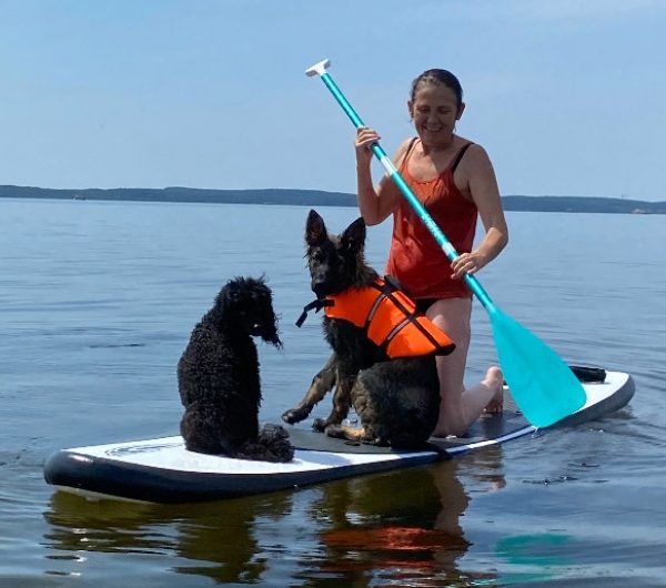 Hund auf Paddel in der Nähe des Maison de la Passion Animale in Aureilhan in den Landes in Neu-Aquitanien