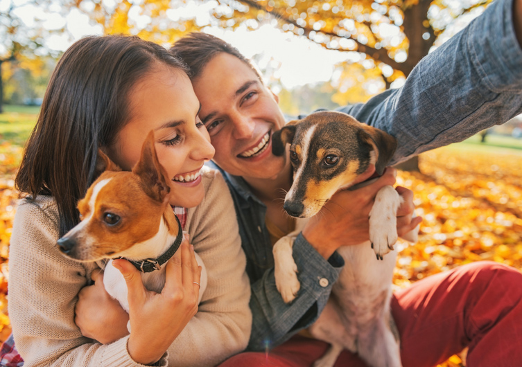 5 good reasons to go on All Saints' Day vacation with your dog