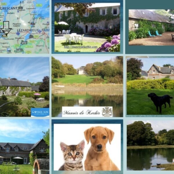 montage of photos of dogs in the lodgings of the Kerhir manor