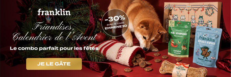 calendrier de l'avent pour chien - franklin