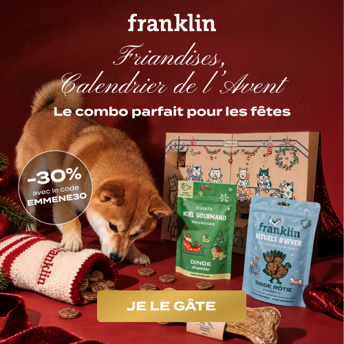 calendrier de l'avent pour chien - franklin