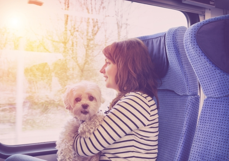 Pegando o trem com seu cachorro – depoimentos de viajantes