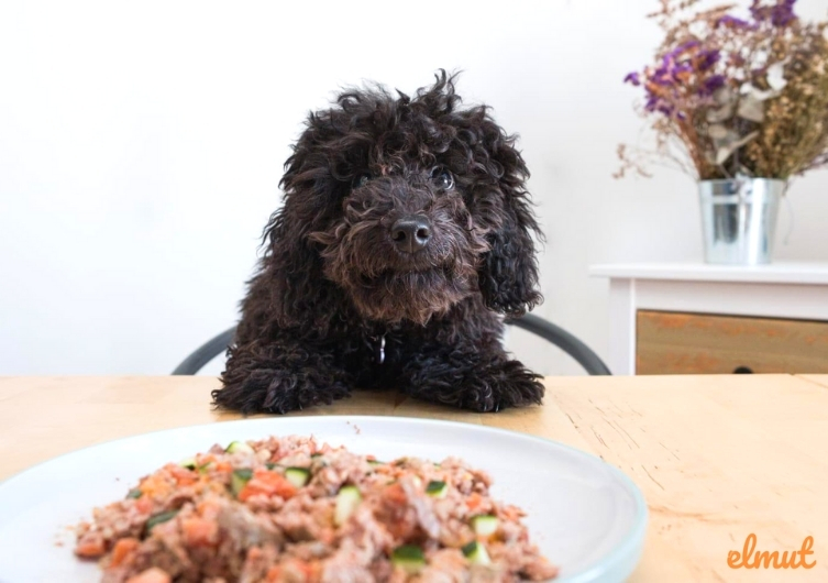 Elmut: goede zelfgemaakte maaltijden voor uw hond