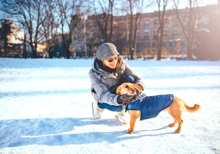 Le Top 5 des accessoires indispensables pour partir à la neige avec son chien