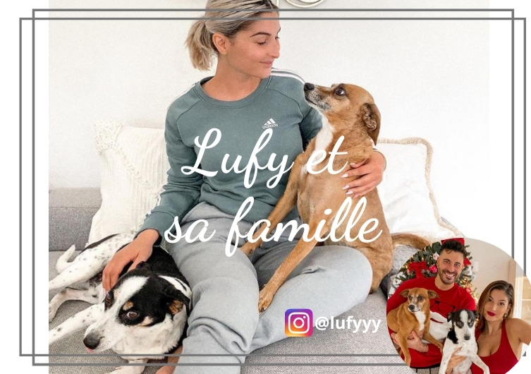 Férias com um cachorro de acordo com Lufy