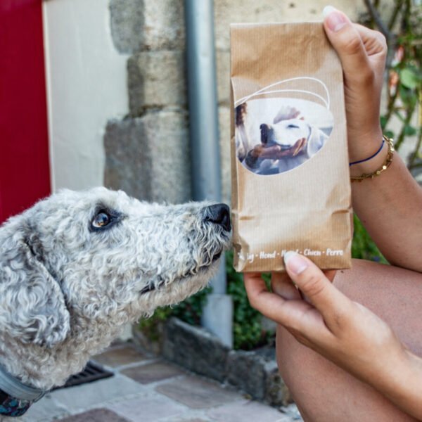 kit de bienvenue pour les chiens au castel camping la garangeoire