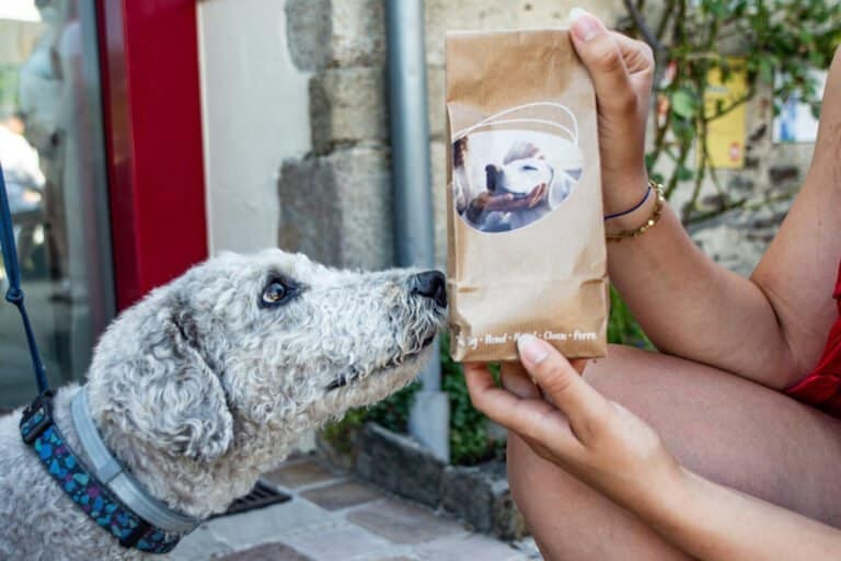 kit de bienvenue pour les chiens au castel camping la garangeoire