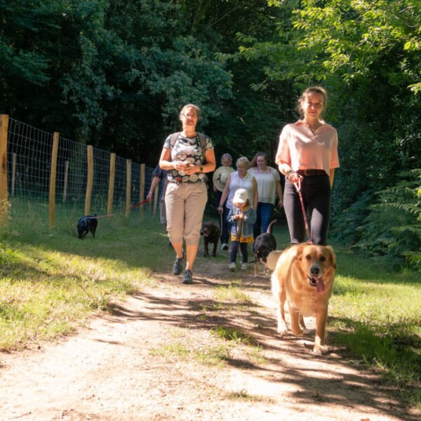 canimarche avec des chiens et leurs familles au castel camping la garangeoire