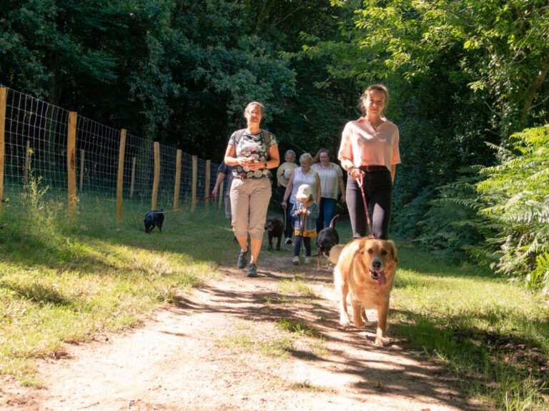 canimarche avec des chiens et leurs familles au castel camping la garangeoire