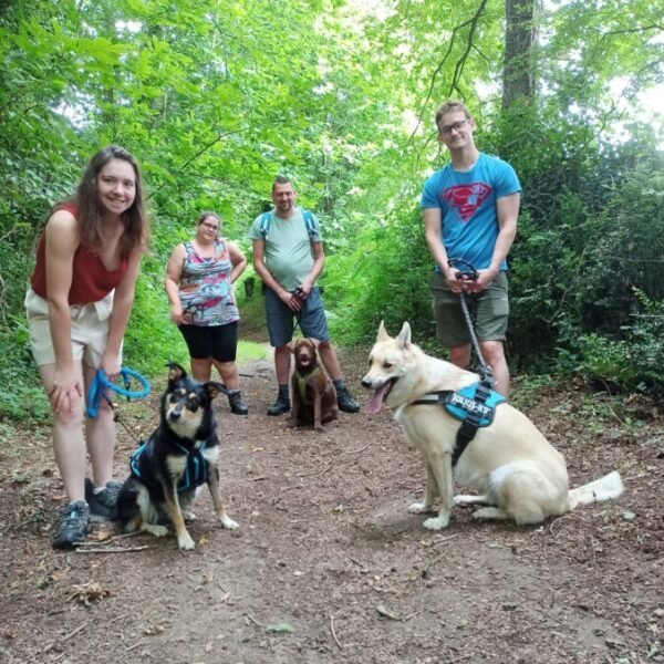 chiens en vacances au castel camping la garangeoire