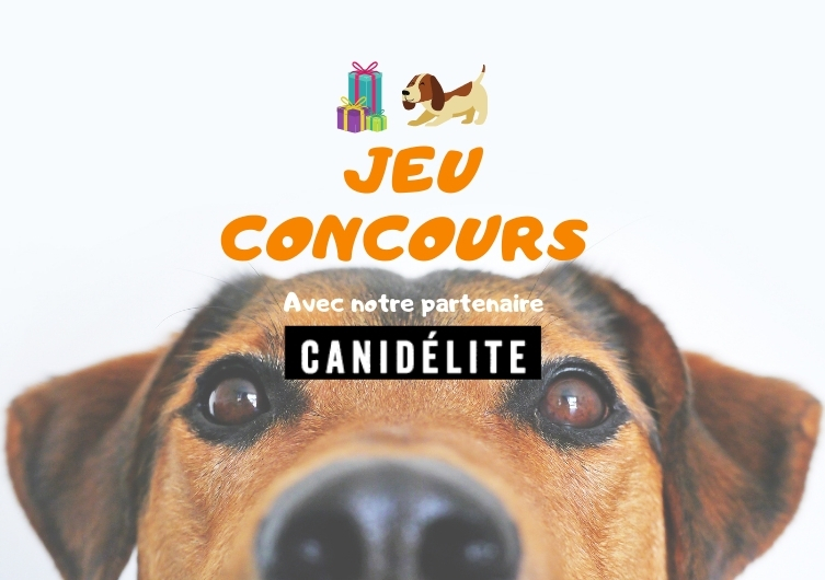Wedstrijdspel – win je Canidélite online training
