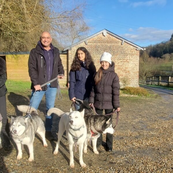 Une famille avec 4 huskies en vacances au Domaine des Chillards en Normandie