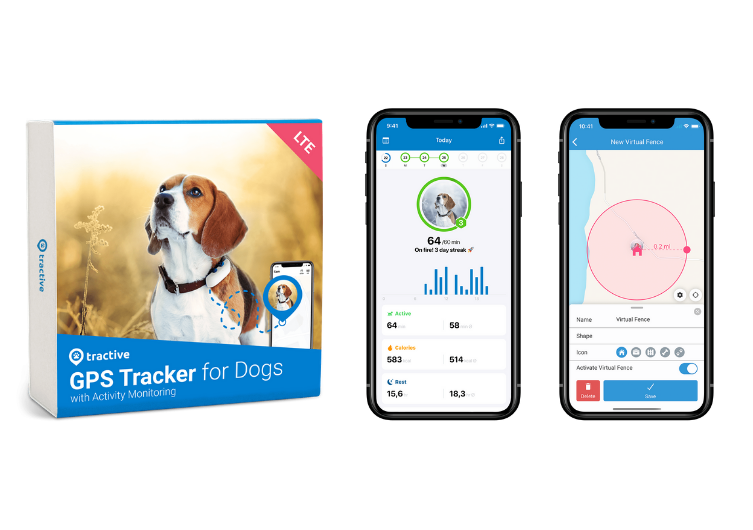 Ne plus perdre son chien : le collier connecté GPS pour chien