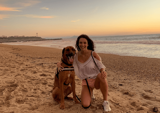 Visiter Biarritz avec son chien