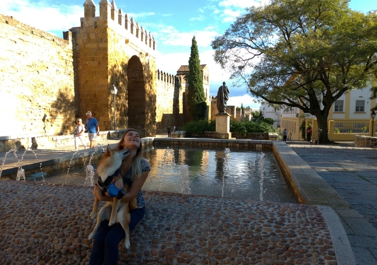 - Puerta de Almodovar - Visiter les villes d'Espagne avec son chien