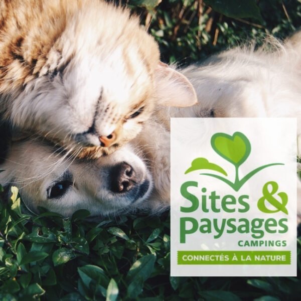un chien et un chat couchés dans l'herbe avec le logo du réseau de campings Sites et Paysages