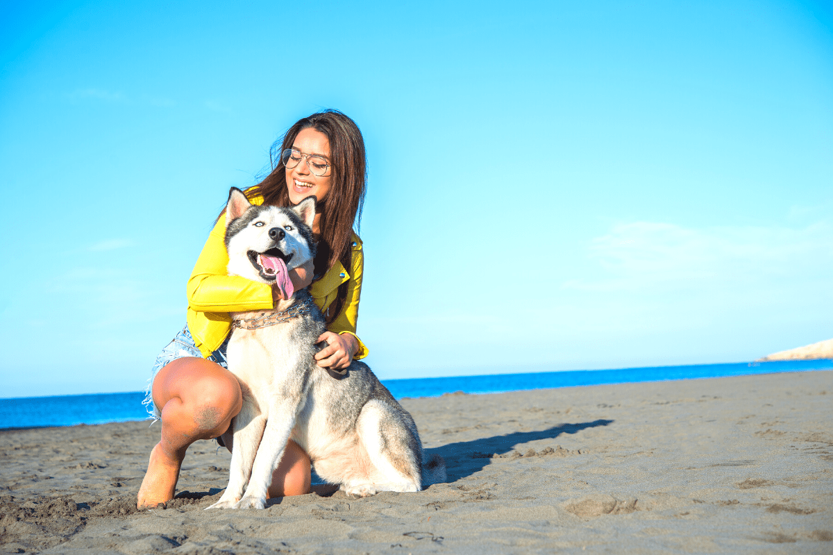 Why train your dog before going on vacation?