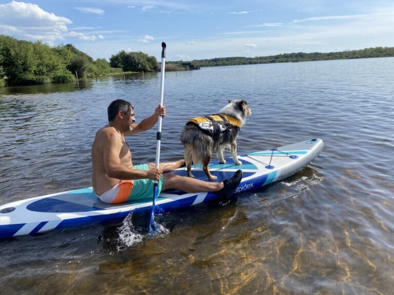Cani canoe proche de la Maison de la Passion Animale à Aureilhan dans les Landes en Nouvelle Aquitaine