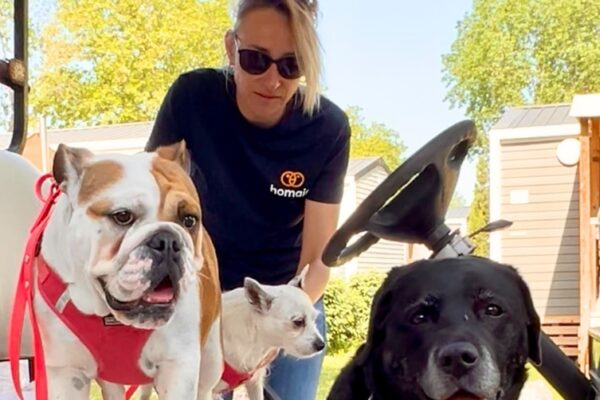 Camping Domaine La Yole