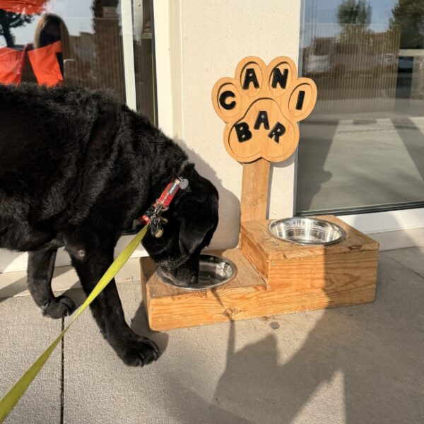 Camping Homair Domaine la Yôle - vacances avec son chien à Valras dans l'Hérault - EmmèneTonChien.com