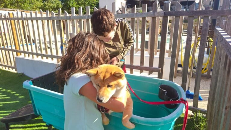 Espace canidouche pour chiens au Camping l'Escale Occitane dans l'Aude à Alzonne dans le Sud de la France