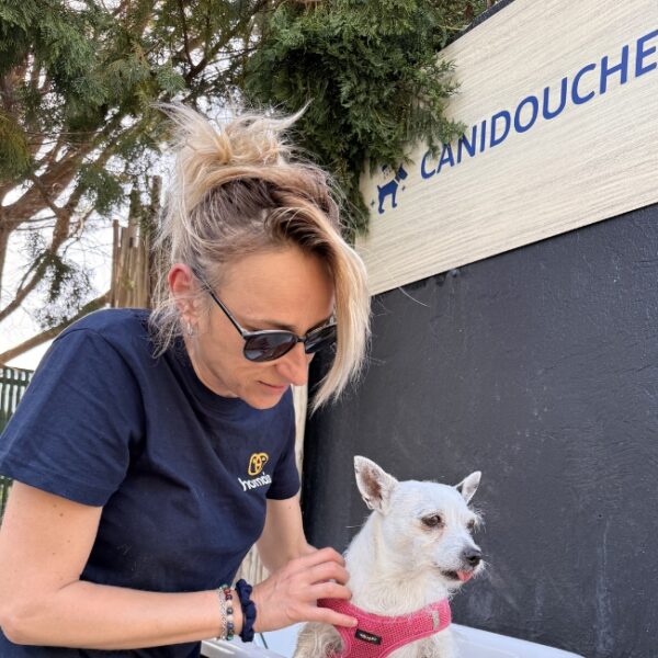 Camping Homair Domaine la Yôle - vacances avec son chien à Valras dans l'Hérault - EmmèneTonChien.com