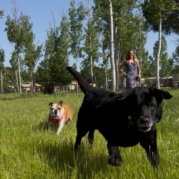 Domaine La Yole - Valras Plage - Hérault - Occitanie - Animaux acceptés - Chiens acceptés - EmmèneTonChien.com